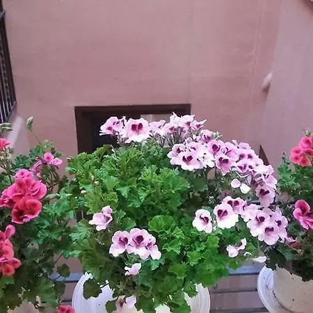 Bed & Breakfast Arco Dell'orologio Trapani